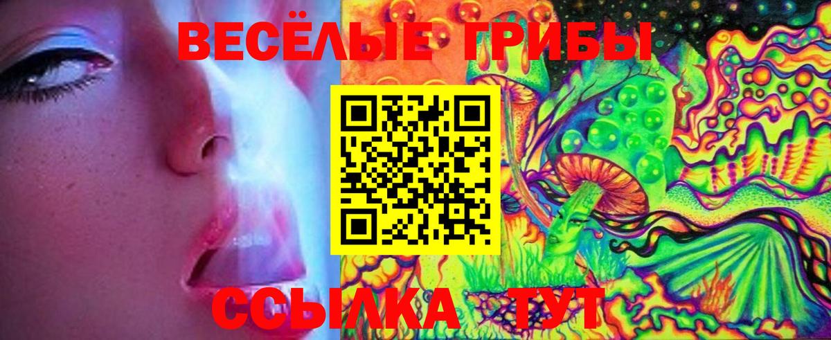 Нижнеудинск  Галлюциногенные грибы Psilocybe  Вход с VPN 
